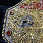 Custom Big Gold Championship Belt