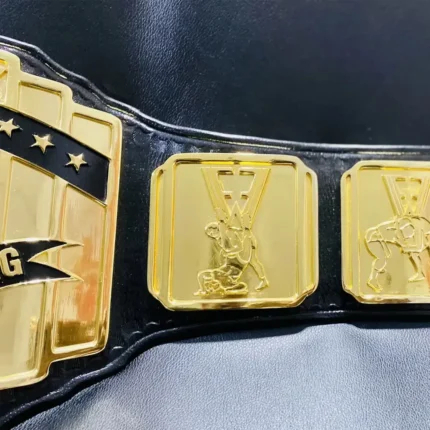 FFW PRO WRESTLING 24K GOLD CHAMPIONSHIP TITLE BELTS